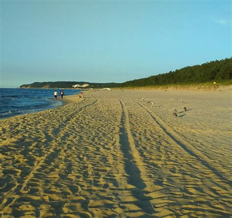 plaża lubiewo|LUBIEWO BEACH (2024) All You Need to Know。